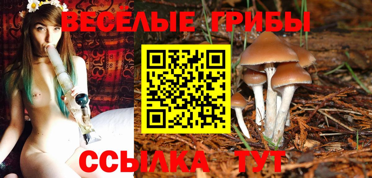 где продают   Галлюциногенные грибы MAGIC MUSHROOMS  Вход с VPN  Искитим 